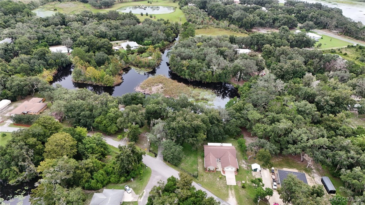 1179 N Point Lonesome Road, Inverness, Florida image 48