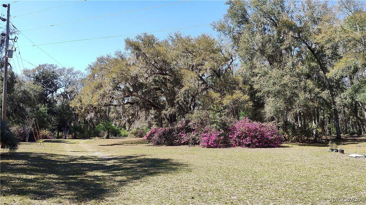 9193 S Great Oaks Drive, Floral City, Florida image 48
