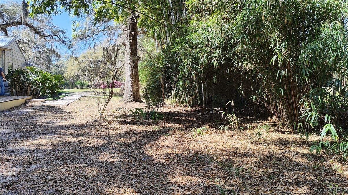 9193 S Great Oaks Drive, Floral City, Florida image 46