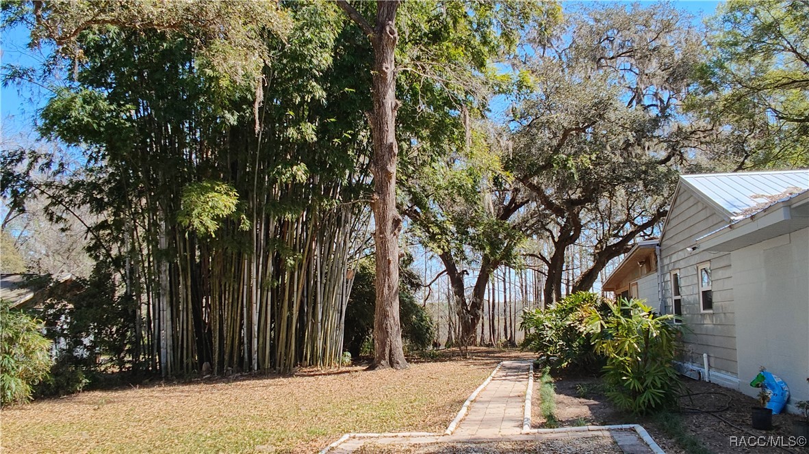9193 S Great Oaks Drive, Floral City, Florida image 36