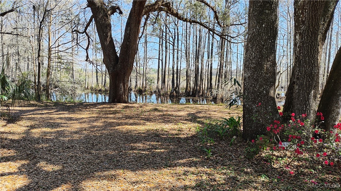9193 S Great Oaks Drive, Floral City, Florida image 32