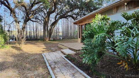 9193 S Great Oaks Drive Floral City FL 34436