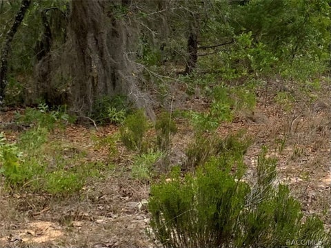 Vacant Land For Sale - 110 Oklahoma Street<br/> Heathrow, FL 32640