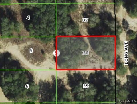 Vacant Land For Sale - 1011 Long Avenue<br/> Inverness, FL 34453