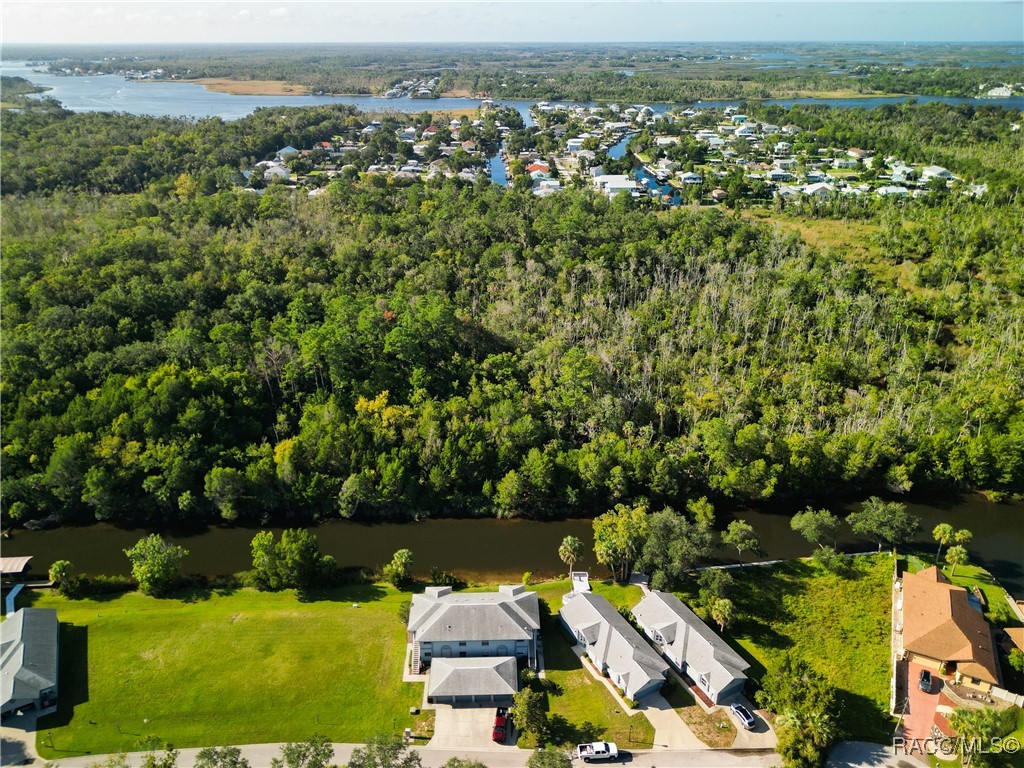 11274 W Cove Harbor Drive, Crystal River, Florida image 4