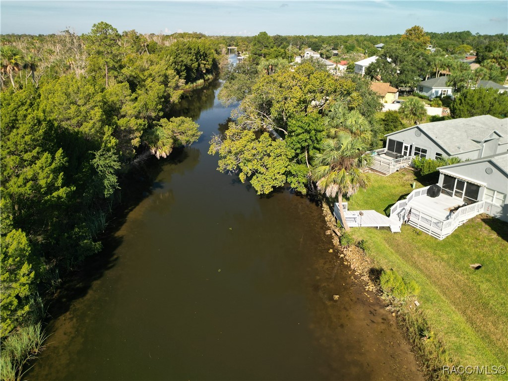 11274 W Cove Harbor Drive, Crystal River, Florida image 46