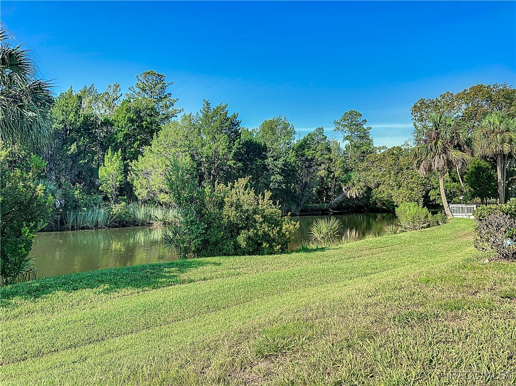 11274 W Cove Harbor Drive, Crystal River, Florida image 44