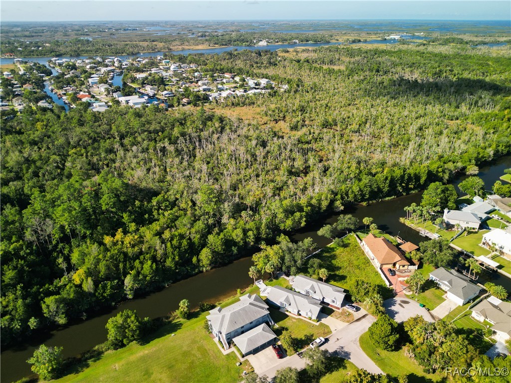 11274 W Cove Harbor Drive, Crystal River, Florida image 50