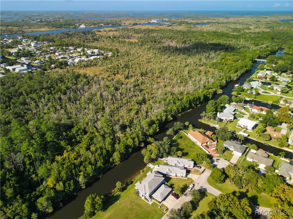 11274 W Cove Harbor Drive, Crystal River, Florida image 47