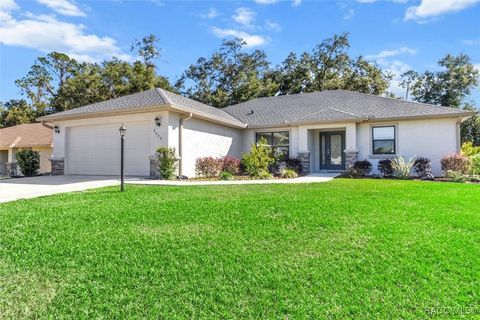 A home in Hernando