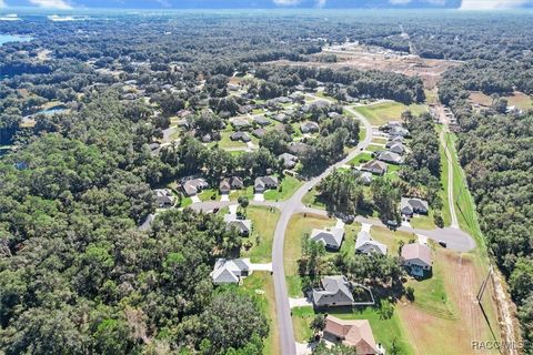 A home in Hernando