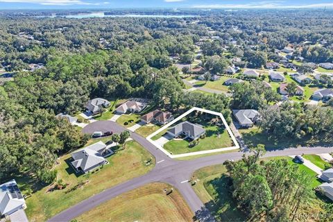 A home in Hernando