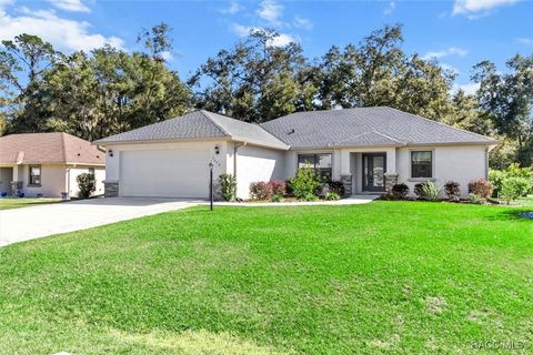 A home in Hernando