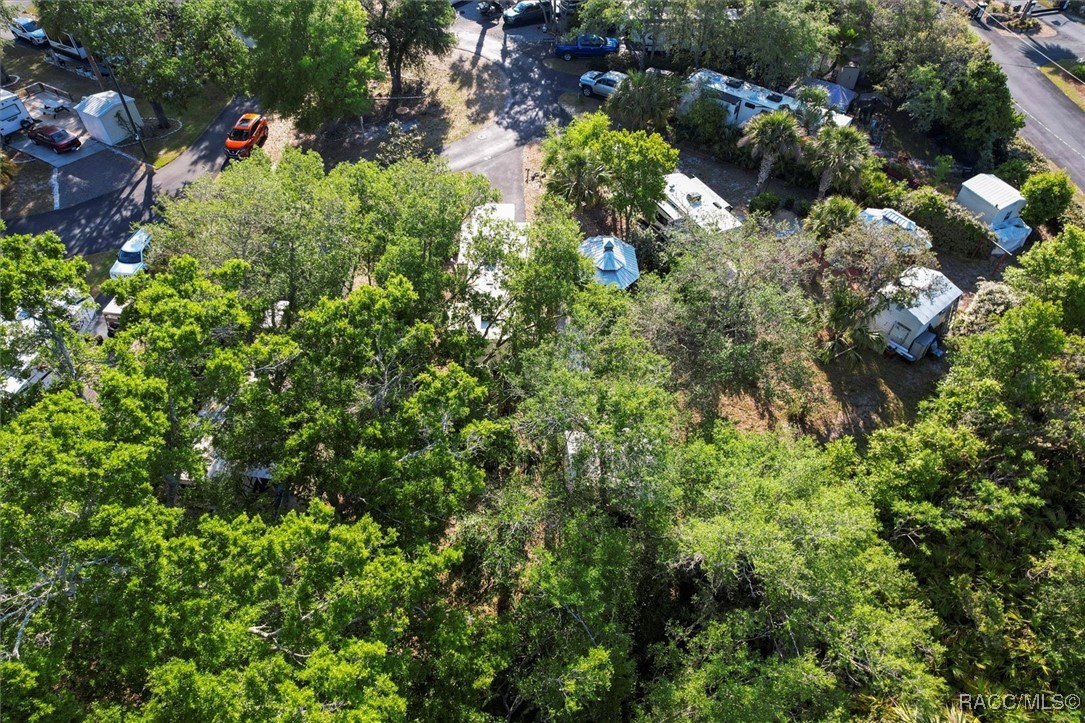 10173 N Suncoast Lot 49 Boulevard, Crystal River, New York image 9