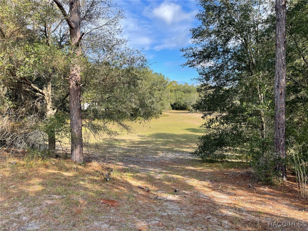 Lot 44 SW 102nd Street Road, Dunnellon, Florida image 8