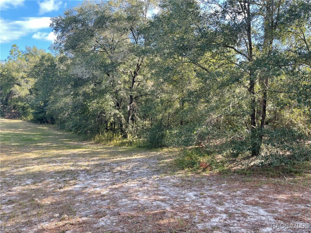 Lot 44 SW 102nd Street Road, Dunnellon, Florida image 10