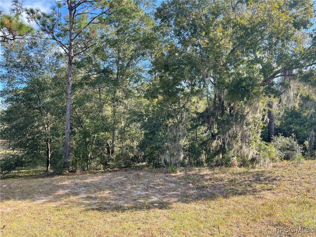 Lot 44 SW 102nd Street Road, Dunnellon, Florida image 3