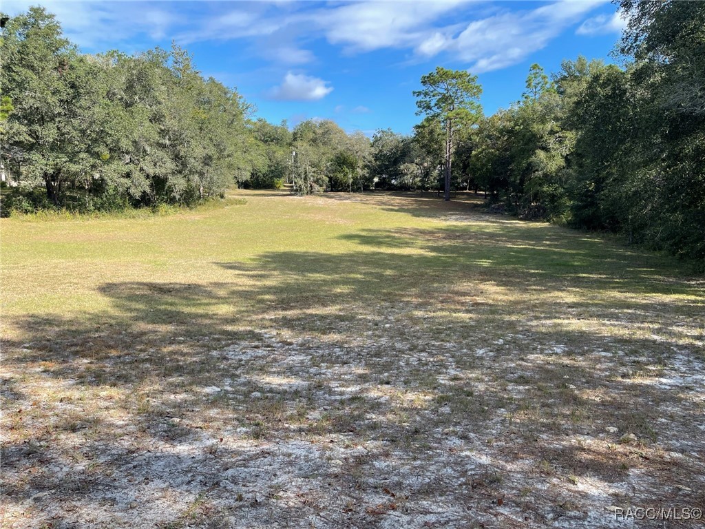 Lot 44 SW 102nd Street Road, Dunnellon, Florida image 9