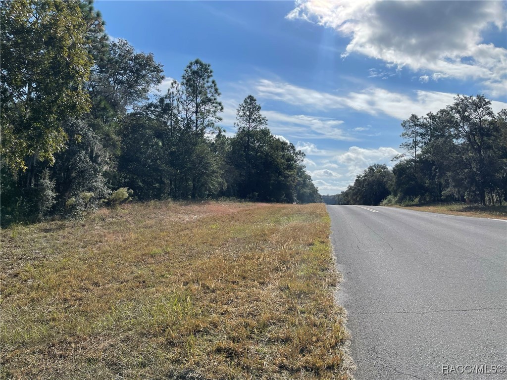 Lot 44 SW 102nd Street Road, Dunnellon, Florida image 4