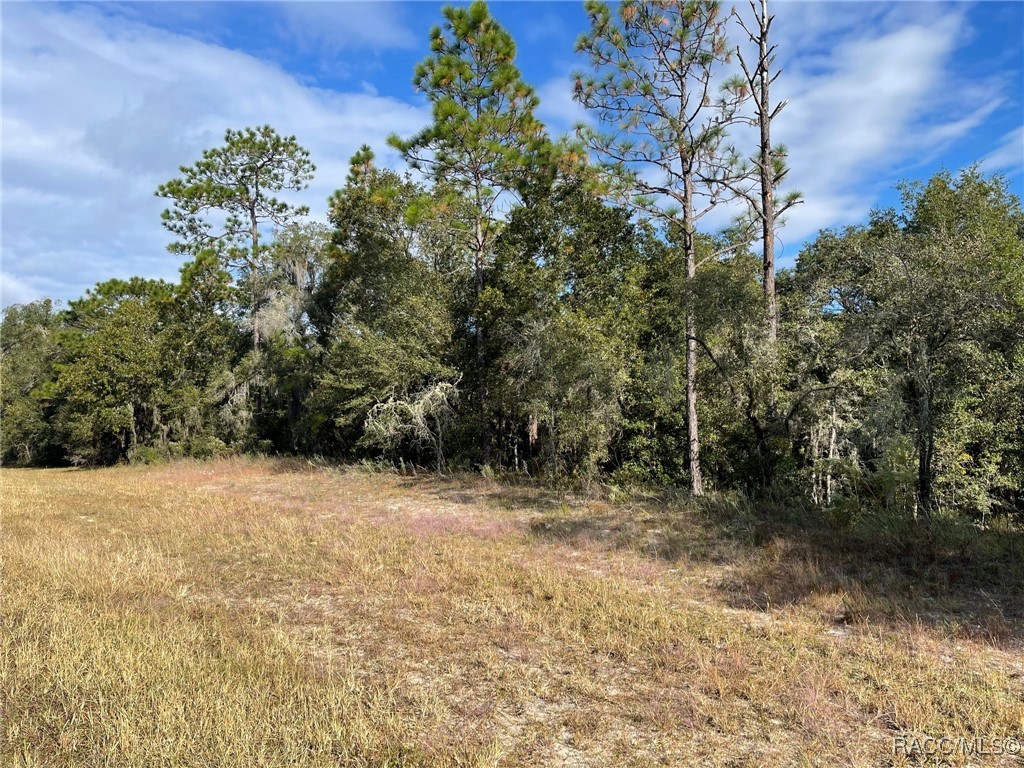 Lot 44 SW 102nd Street Road, Dunnellon, Florida image 2