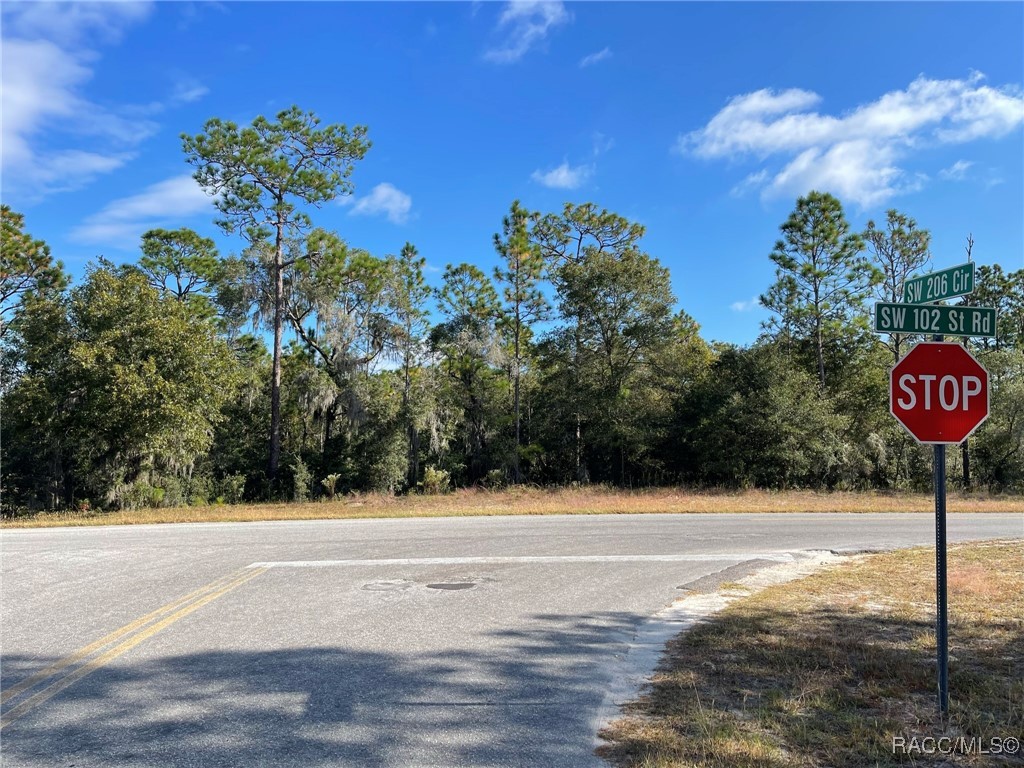 Lot 44 SW 102nd Street Road, Dunnellon, Florida image 7