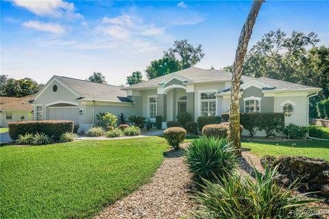 65 Greentree Street Homosassa FL 34446