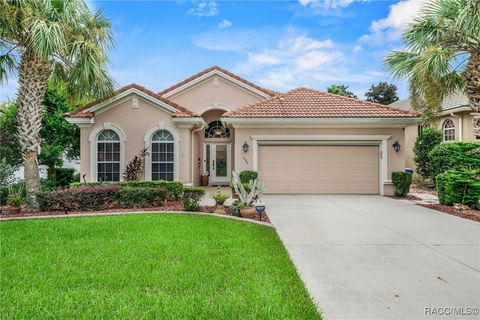 1720 N Sky Glen Path Hernando FL 34442