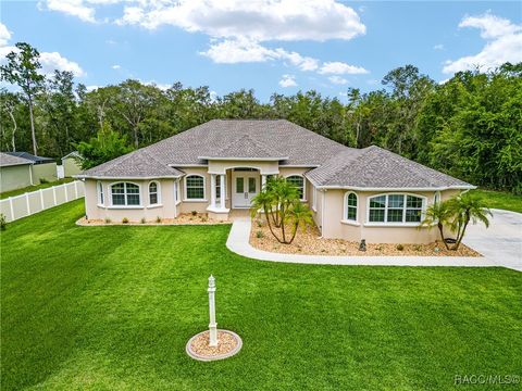 A home in Dunnellon