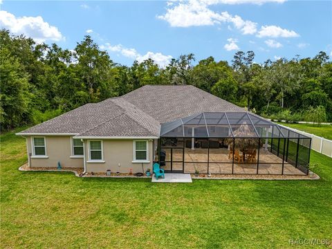 A home in Dunnellon