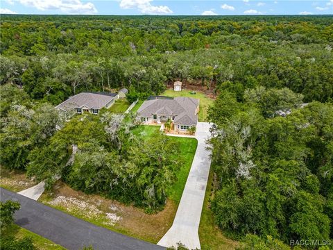 A home in Dunnellon