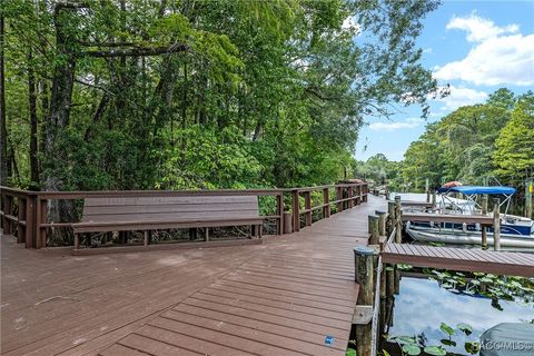 A home in Dunnellon