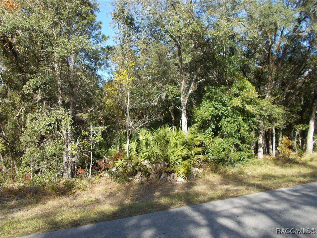 895 W Olympia Street, Hernando, Florida image 2