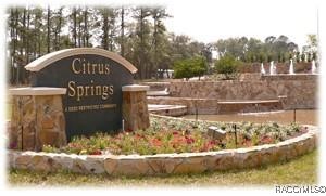 8488 N Tempest Drive, Citrus Springs, New York image 7