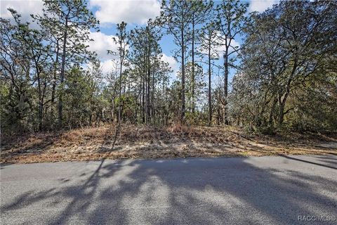 Vacant Land For Sale - 3921 N Longvalley Road<br/> Hernando, FL 34442