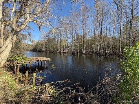 10500 E Gobbler Drive Floral City FL 34436