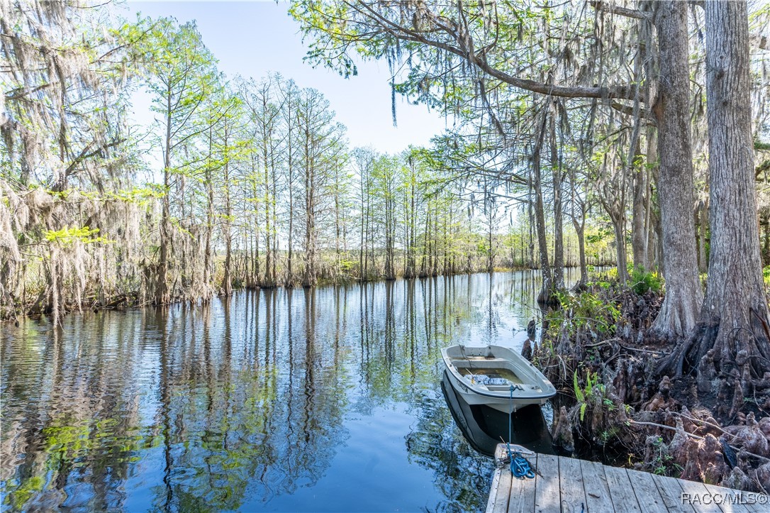 3175 N Wheaton Point, Hernando, Florida image 37