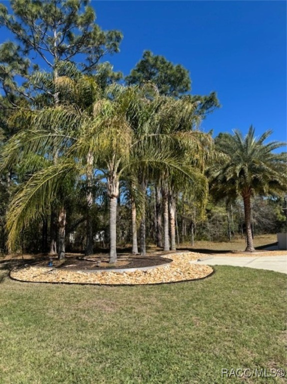156 Cypress Boulevard, Homosassa, Florida image 2