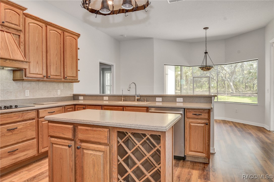 156 Cypress Boulevard, Homosassa, Florida image 16