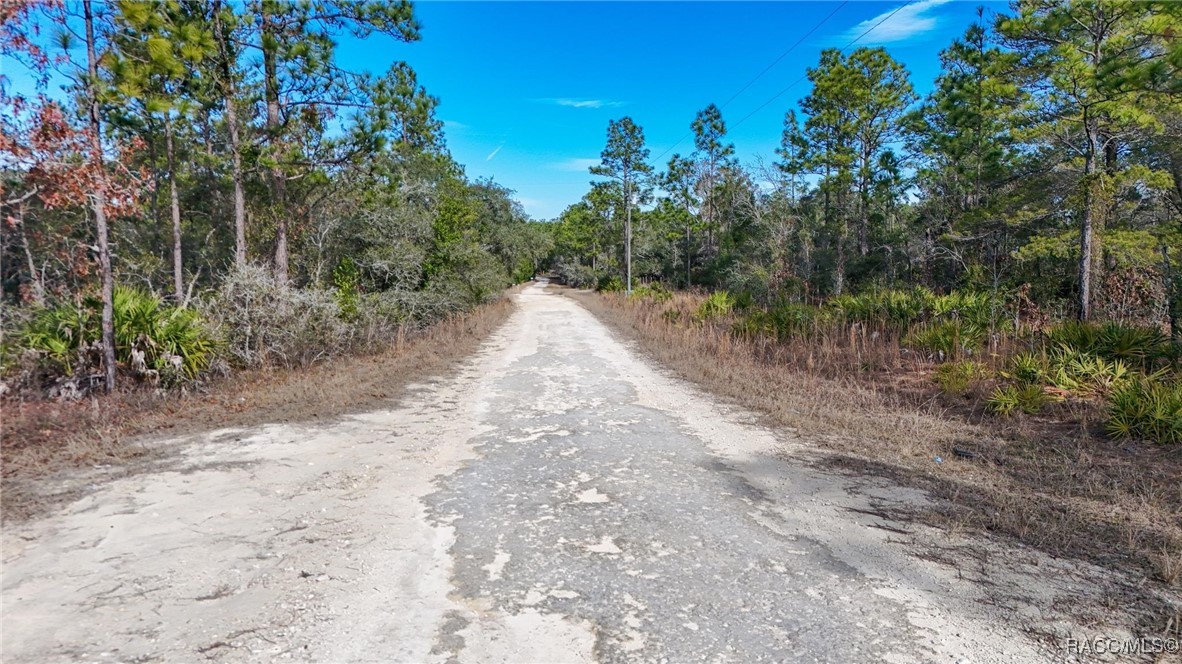 8159 N Dacca Terrace, Dunnellon, Florida image 12