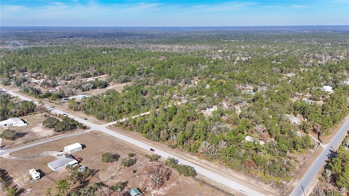 8159 N Dacca Terrace, Dunnellon, Florida image 3