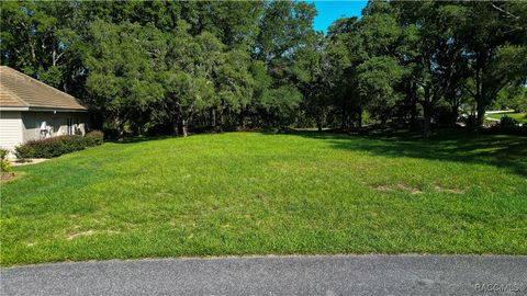 3117 N Barton Creek Circle Lecanto FL 34461