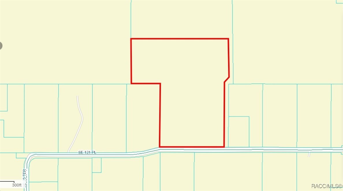 7935 SE 121st Place, Belleview, Florida image 2