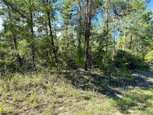 4419 W MALALUKA CIR, CITRUS SPRINGS, FL 34433 - Image a97cf772c6319bb8e4eefc85d9086d68/4189744899