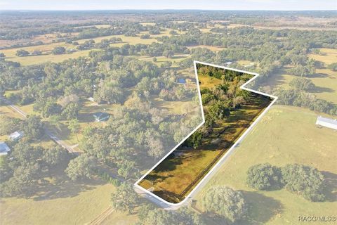 8792 S Steed Terrace Floral City FL 34436