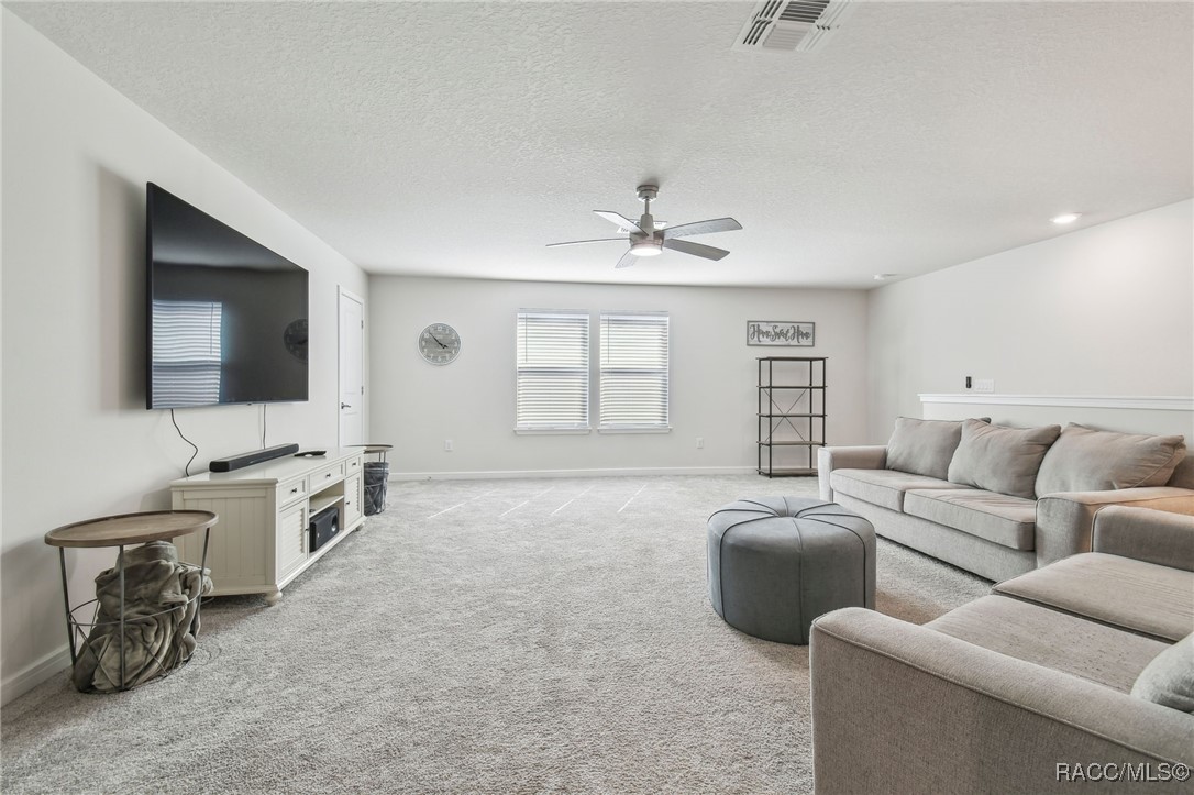 778 Parsons Mooring Court, Seffner, Florida image 26