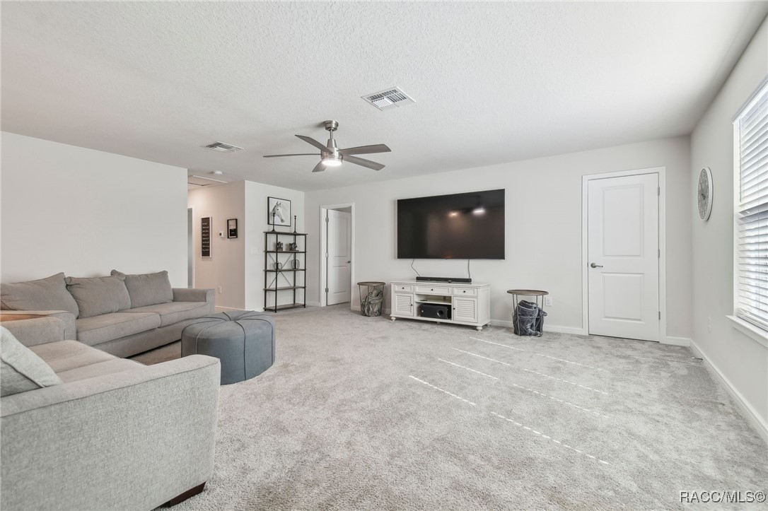 778 Parsons Mooring Court, Seffner, Florida image 25