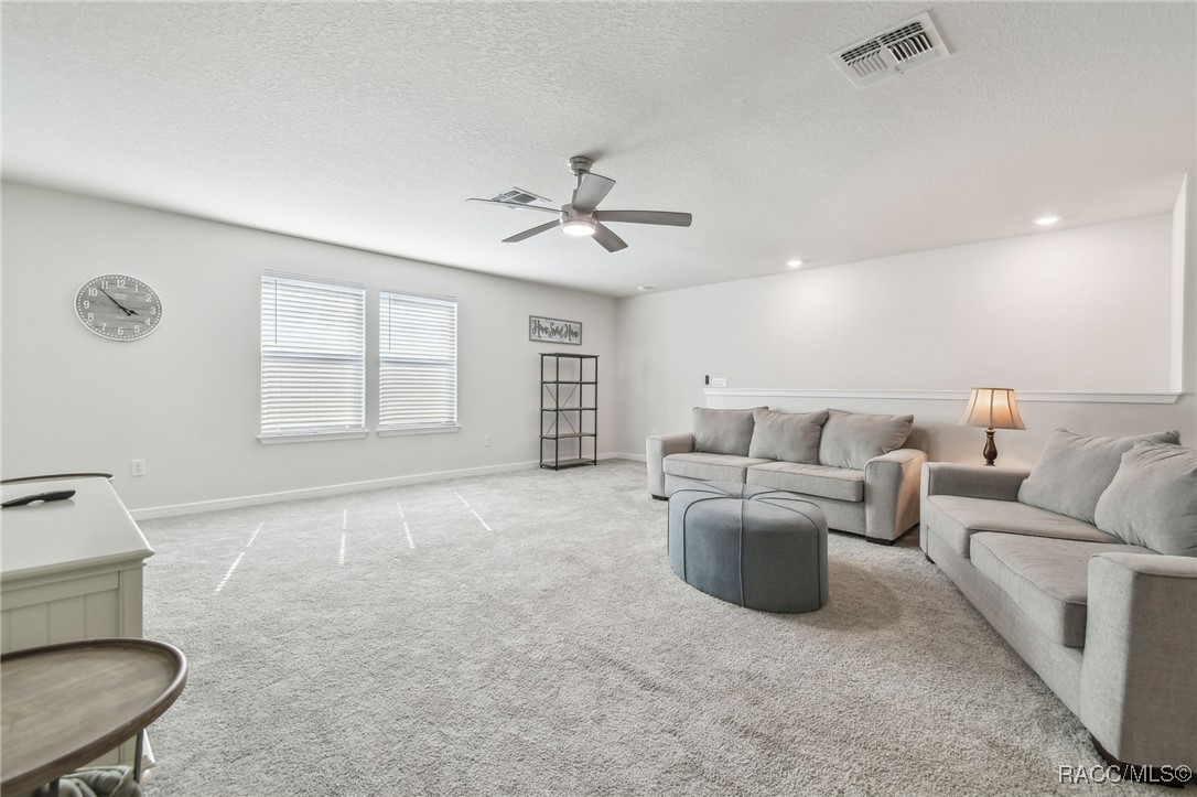 778 Parsons Mooring Court, Seffner, Florida image 28