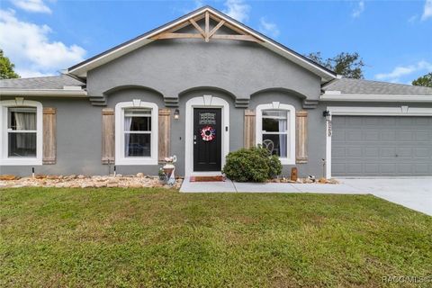 8263 N Triana Drive Citrus Springs FL 34434