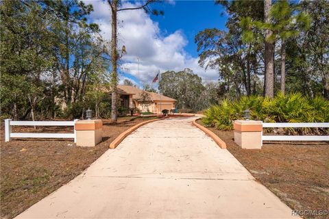 3121 W Lantana Drive Beverly Hills FL 34465