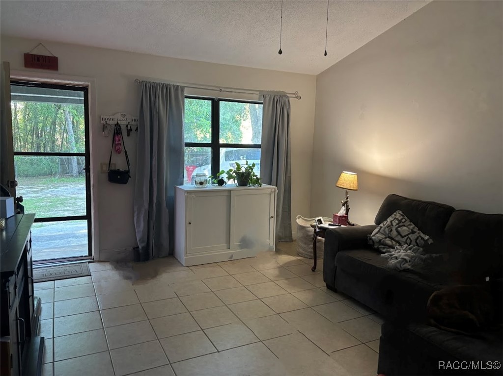 9054 S Tara Point, Floral City, New York image 5